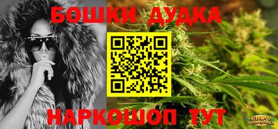 гидра Сланцы