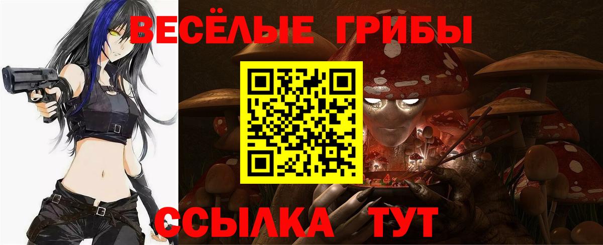 Псилоцибиновые грибы Magic Shrooms  Вход с VPN  Новокубанск  закладка  Галлюциногенные грибы мицелий 